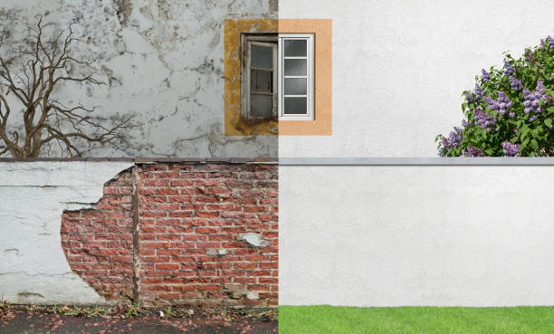 Trusted Weaverville, NC Mold Removal Experts